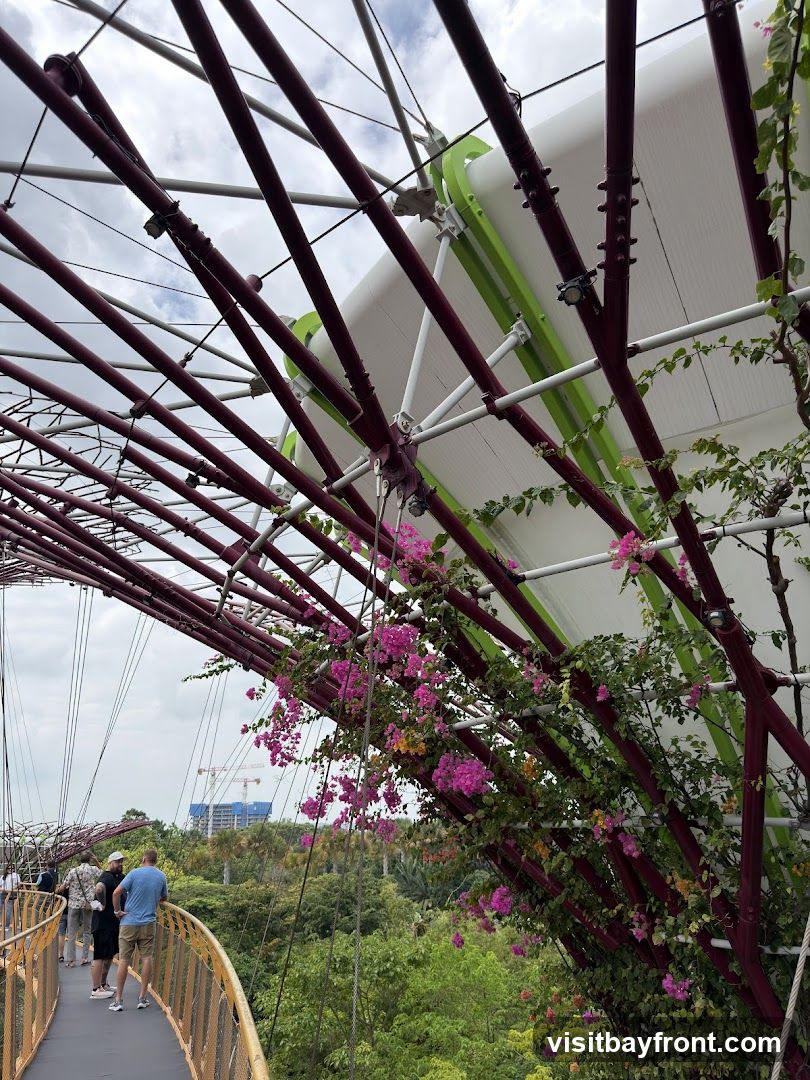 A view from a walkway with a yellow railing, looking up at a canopy structure made of dark red beams and white panels. Pink and yellow bougainvillea flowers are growing on the structure, cascading down. In the background, lush green trees and distant construction cranes are visible under a cloudy sky. Several people are walking on the elevated walkway.