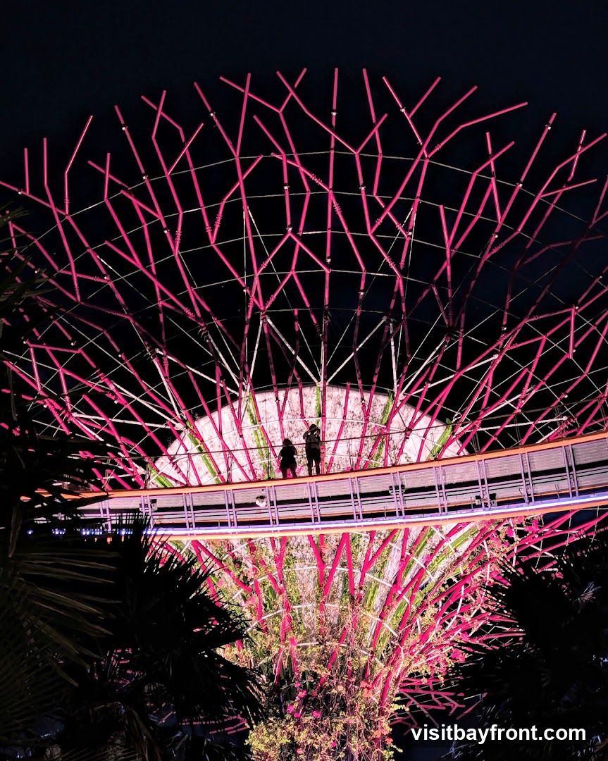 Two figures stand on a walkway amidst the illuminated Supertree Grove at Gardens by the Bay, Singapore. The structures are lit with vibrant pink and green lights against a dark night sky. Silhouetted palm fronds frame the bottom of the image.