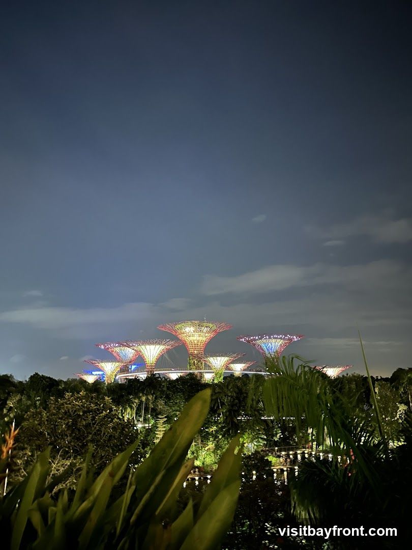A nighttime view of the Supertree Grove at Gardens by the Bay, Singapore. The iconic structures are illuminated with colorful lights against a dusky sky. Lush greenery and foliage are visible in the foreground and surrounding the Supertrees, with reflections in the water below.