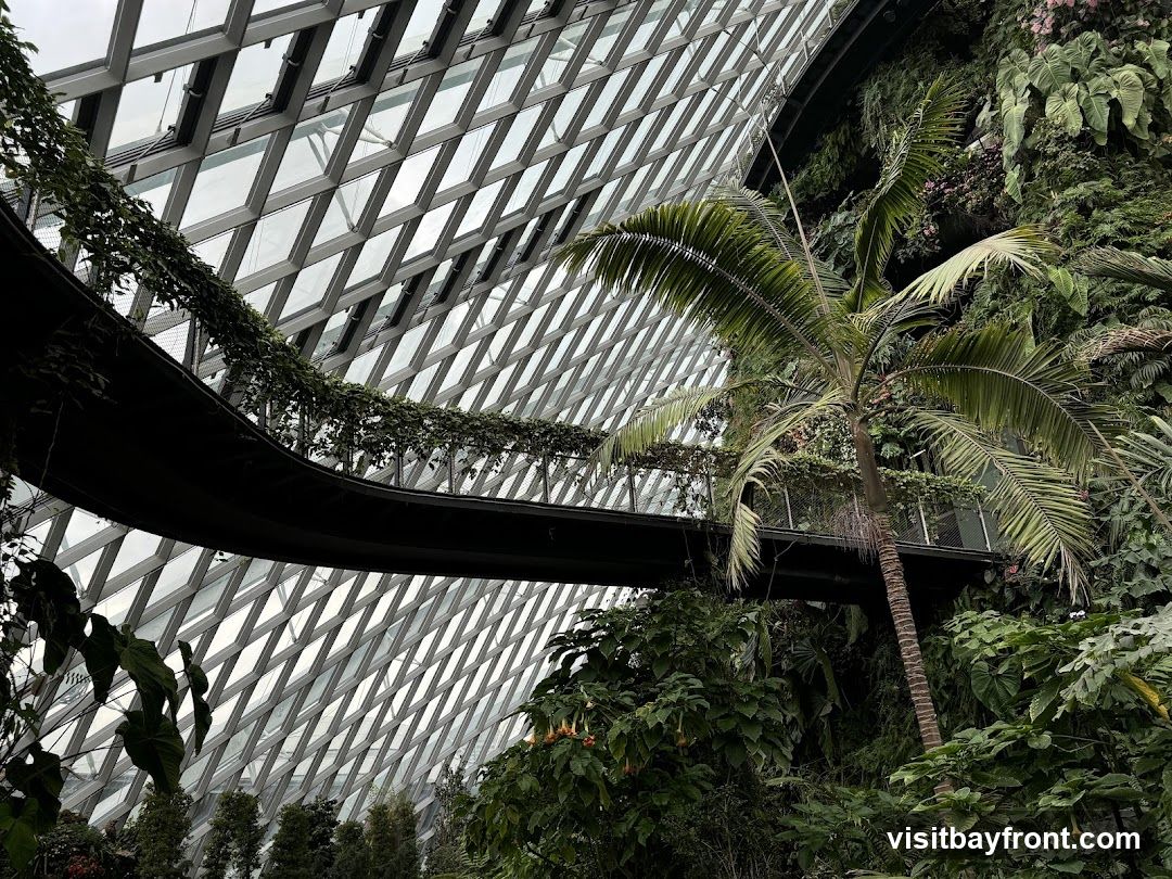 An interior view of a large, climate-controlled botanical garden, featuring a curved skywalk elevated amidst lush greenery. The structure is enclosed by a geodesic dome with a diamond-patterned glass roof, allowing natural light to filter through. Various tropical plants, including a palm tree and dense foliage, surround the walkway, creating a vibrant, naturalistic environment.