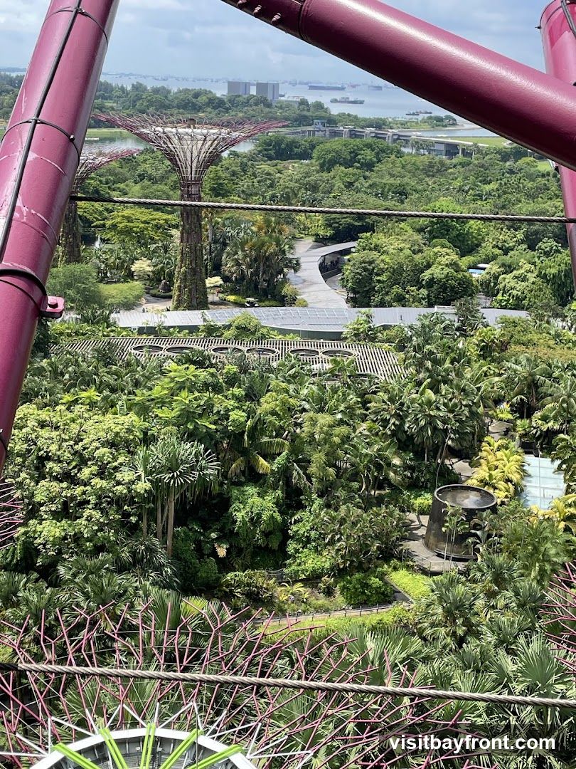 An aerial view of Gardens by the Bay in Singapore, showcasing the iconic Supertrees and lush greenery. The foreground features part of a large, magenta-colored structure, likely part of the observation deck. In the background, the Singapore Strait is visible with ships and a hazy skyline. The image captures the unique blend of nature and futuristic architecture.