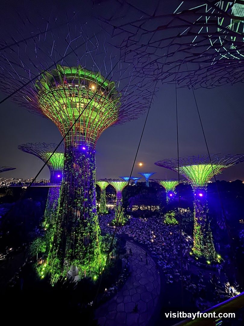 A nighttime view of the Supertree Grove at Gardens by the Bay, Singapore. The large, tree-like structures are illuminated with green and blue lights, with a full moon visible in the sky. A crowd of people is gathered below, walking along illuminated pathways.