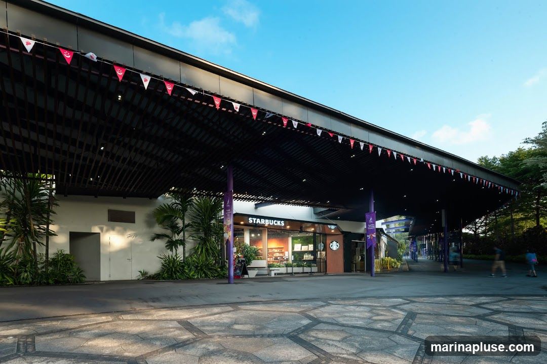 Starbucks Gardens by the Bay