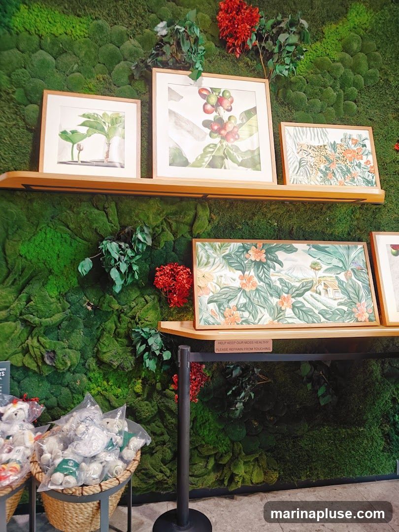 A wall covered in green moss serves as a backdrop for framed artwork depicting plants, coffee cherries, a leopard, and tropical foliage. Below the artwork, baskets filled with plush toys are displayed. A sign reads "HELP KEEP OUR MOSS HEALTHY PLEASE REFRAIN FROM TOUCHING."