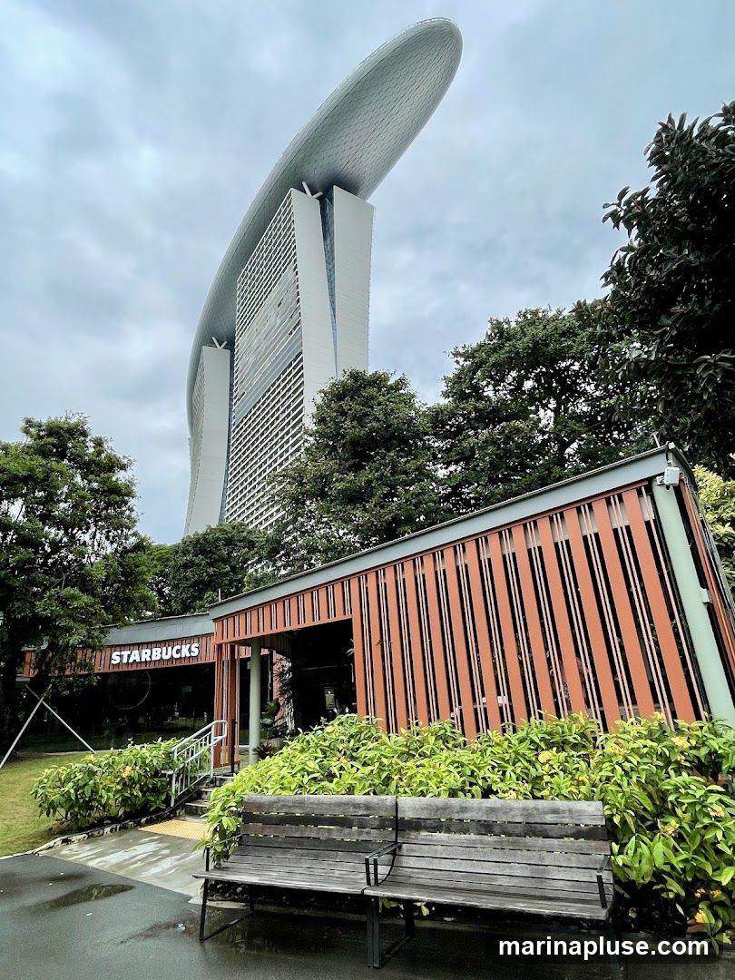 A Starbucks storefront with its logo visible on the building, set against a backdrop of lush greenery and a towering modern skyscraper. Two wooden benches are placed in front of the store.