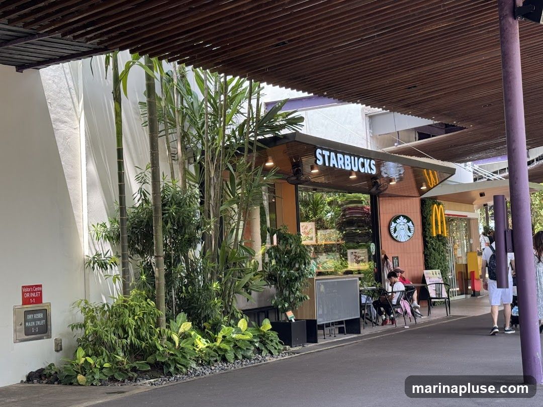 The exterior of a Starbucks store with its prominent signage. The store features a modern design with a wooden overhang and large glass windows. Lush greenery surrounds the entrance, and outdoor seating is available. Adjacent to Starbucks, a McDonald's is also visible.