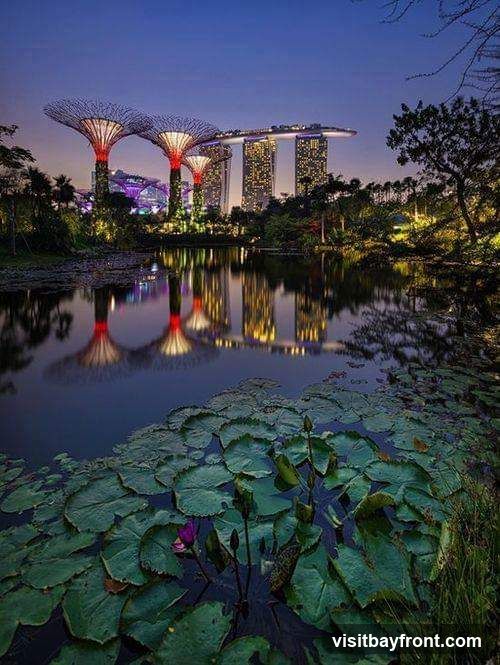 Silver Garden