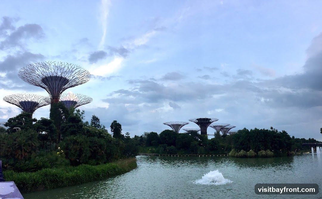 Silver Garden