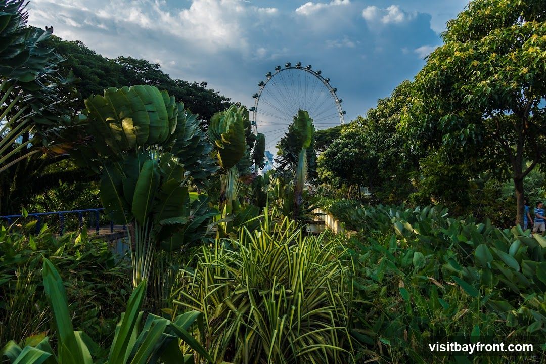 A lush garden with large tropical plants in the foreground. In the background, a large Ferris wheel is visible against a cloudy sky. The scene suggests a park or botanical garden setting with urban elements in the distance.