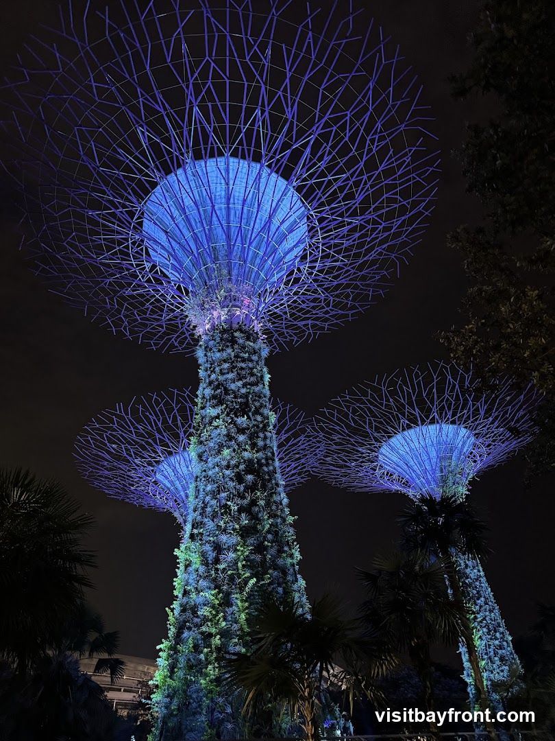 A nighttime view of the Supertrees at Gardens by the Bay, Singapore. The large, tree-like structures are illuminated with blue and green lights, creating a surreal and futuristic landscape against the dark sky. Palm trees are visible in the foreground.