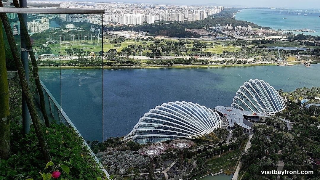 An aerial view of Gardens by the Bay in Singapore, featuring the iconic Supertree Grove and the Cloud Forest and Flower Dome conservatories. The cityscape of Singapore stretches along the coastline in the background, with the ocean and numerous ships visible. The foreground shows lush greenery and a reflective glass barrier.