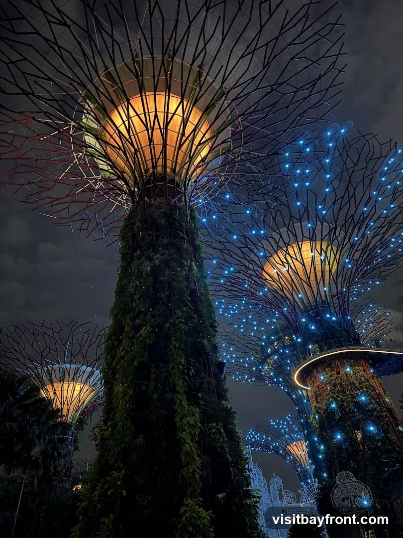 A nighttime view of the Supertrees at Gardens by the Bay, Singapore. The large, tree-like structures are illuminated with warm orange light from within their canopies, and adorned with strings of blue lights. Lush greenery covers the trunks of the Supertrees, and the dark sky provides a dramatic backdrop.