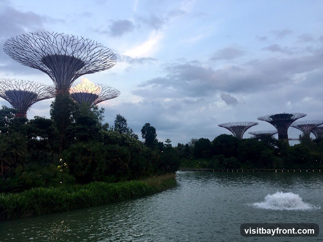 A wide shot of the Supertree Grove at Gardens by the Bay, Singapore, during twilight. Several of the iconic Supertrees, with their distinctive canopy-like structures, are visible against a cloudy sky. In the foreground, a calm body of water reflects the sky and the surrounding greenery, with a fountain creating a splash in the middle. The lush vegetation and the unique architecture of the Supertrees create a surreal and futuristic landscape.