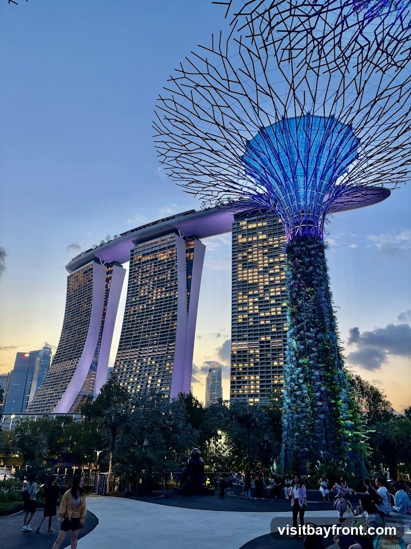 A wide shot of the Supertree Grove and Marina Bay Sands in Singapore during twilight. The Supertrees are illuminated with blue and green lights, and the sky is a gradient of orange and blue. People are visible in the foreground, sitting and walking around the park.