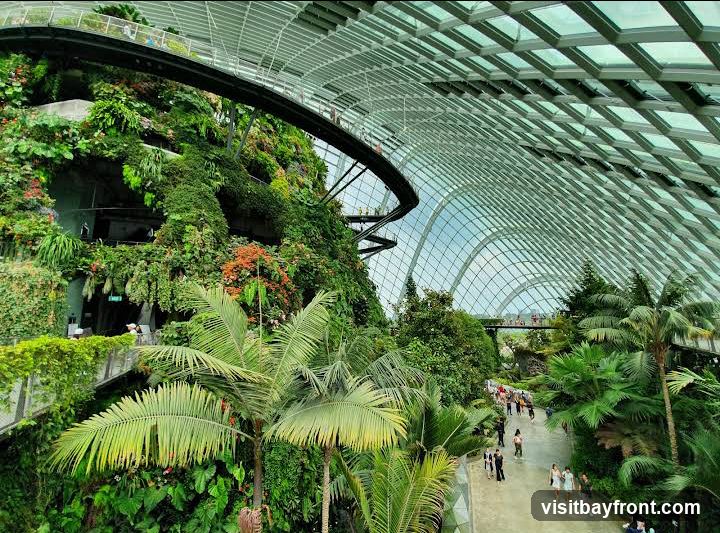 A wide-angle view inside a large, climate-controlled conservatory filled with lush vegetation. A curved walkway winds through the greenery, with people visible on various levels. The structure features a distinctive geodesic dome roof made of glass and metal, allowing natural light to filter in. Palm trees and a variety of other tropical plants create a dense, verdant landscape.