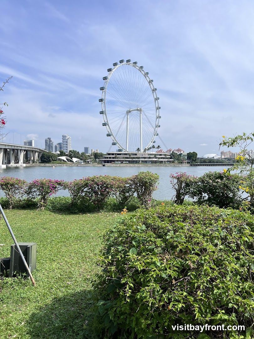 A wide shot of the Singapore Flyer, a large observation wheel, stands prominently against a bright blue sky with scattered clouds. In the foreground, a lush green lawn is dotted with flowering bushes and trees. The calm waters of Marina Bay are visible, with a bridge and city skyline in the background.
