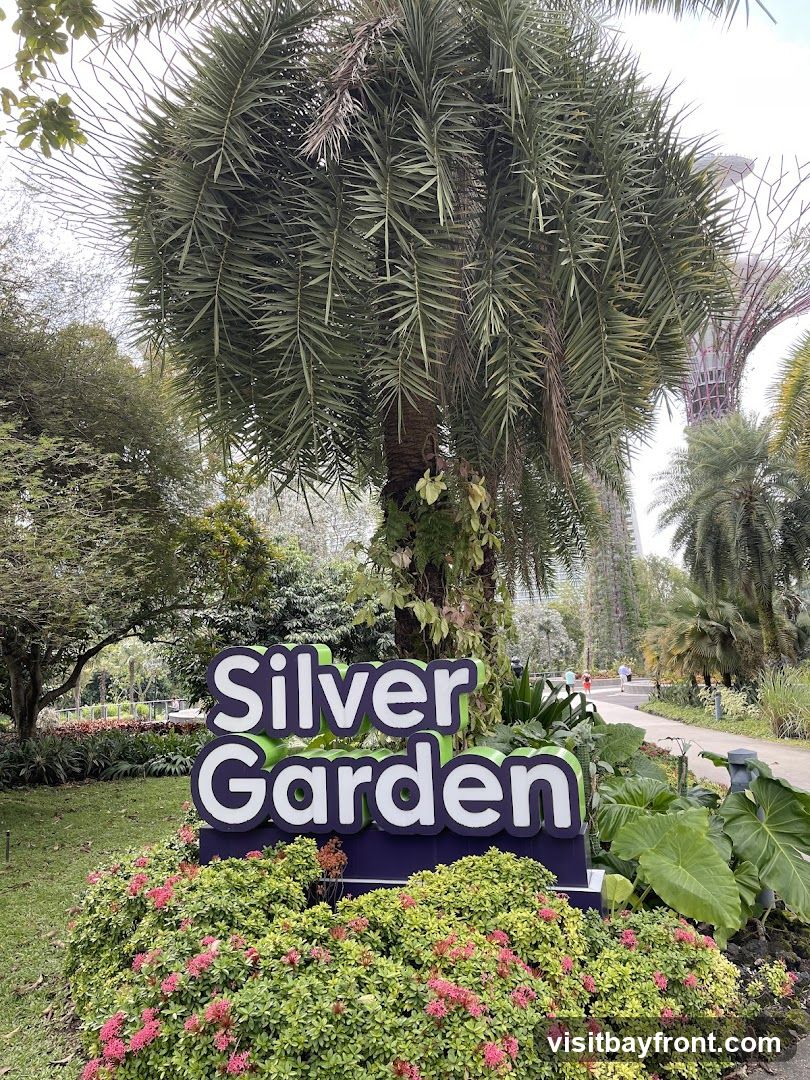 A sign that reads "Silver Garden" is surrounded by lush greenery and flowers. In the background, a large palm tree stands tall, and beyond that, the distinctive Supertree Grove structures of Gardens by the Bay are visible.