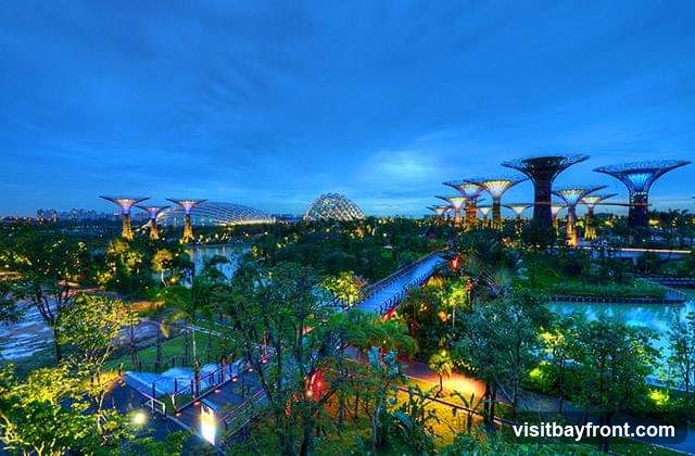 A panoramic view of Gardens by the Bay in Singapore at dusk. The iconic Supertree Grove is illuminated, with its tree-like structures glowing in various shades of blue and yellow. In the background, the domes of the Cloud Forest and Flower Dome are visible, also lit up. A blue pedestrian bridge spans across a body of water, with lush greenery and trees surrounding the landscape. The sky is a deep blue, indicating twilight.