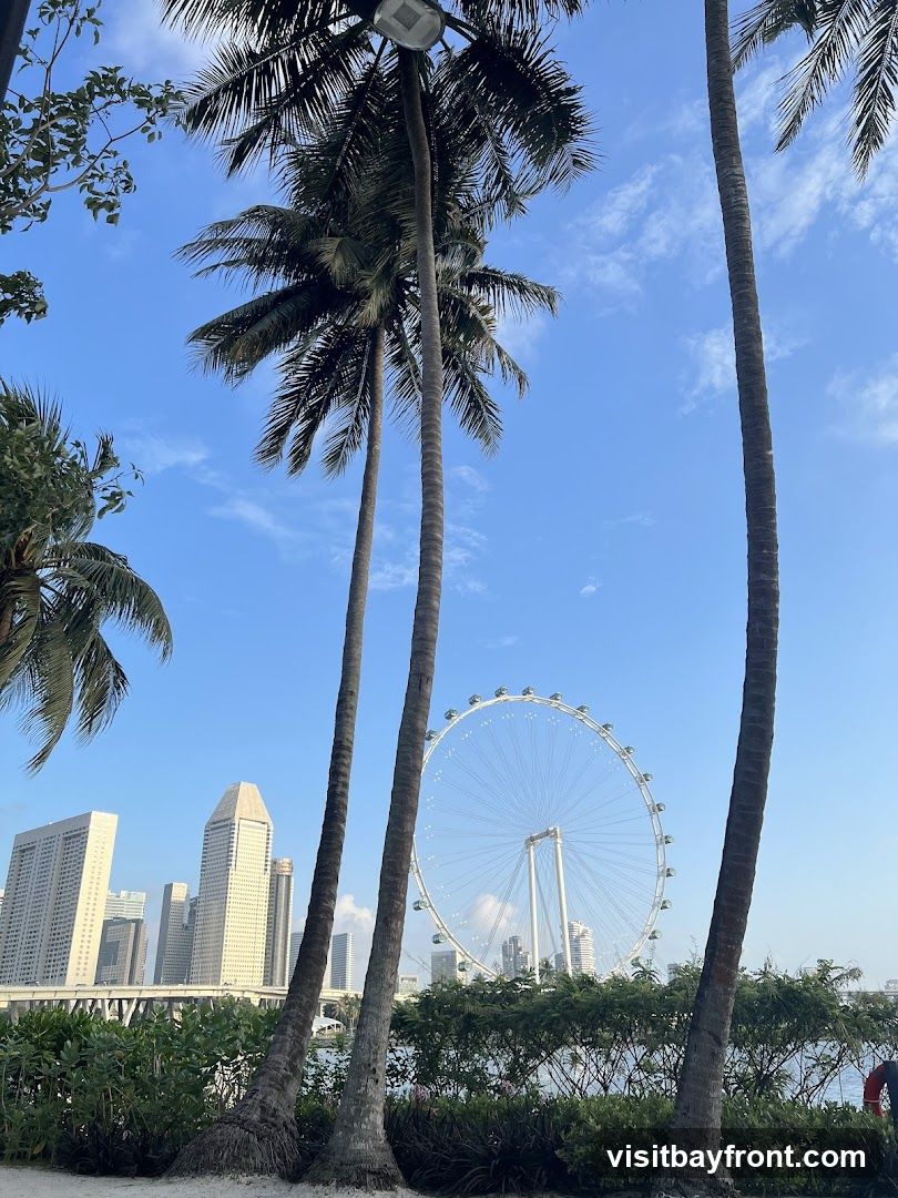 A view of a city skyline with a large Ferris wheel, seen through several tall palm trees. The sky is blue with scattered clouds. The foreground features lush green bushes and a sandy path.