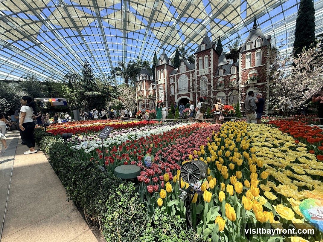A vibrant display of tulips in various colors, including red, pink, white, and yellow, arranged in neat rows under a large glass dome. In the background, a brick building resembling a castle with multiple towers and windows stands amidst lush greenery and trees. Several people are seen strolling through the garden, admiring the flowers and the architectural structure.