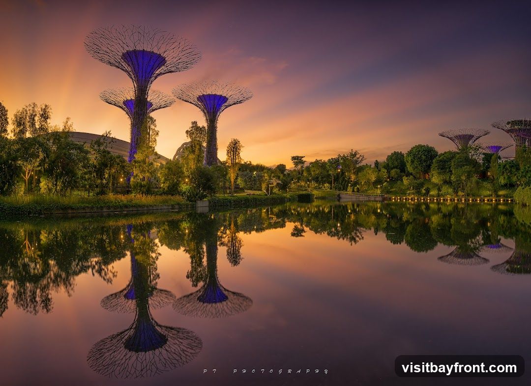 A serene landscape view of Gardens by the Bay in Singapore during sunset. The iconic Supertrees are illuminated with purple lights, their intricate structures silhouetted against a vibrant sky painted with hues of orange, pink, and purple. Lush greenery surrounds the Supertrees, and a calm body of water in the foreground perfectly reflects the scene, creating a symmetrical and breathtaking vista. Small lights line the edge of the water, adding a warm glow to the twilight ambiance.
