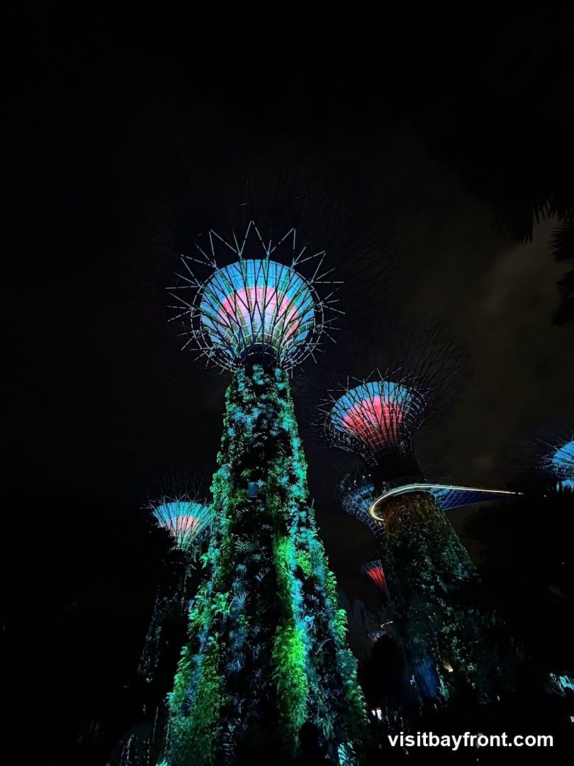 A low-angle shot of the Supertrees at Gardens by the Bay, Singapore, at night. The Supertrees are illuminated with vibrant green and blue lights, with pink accents on the canopies. The structures are covered in lush vegetation, creating a surreal, futuristic landscape against the dark sky.
