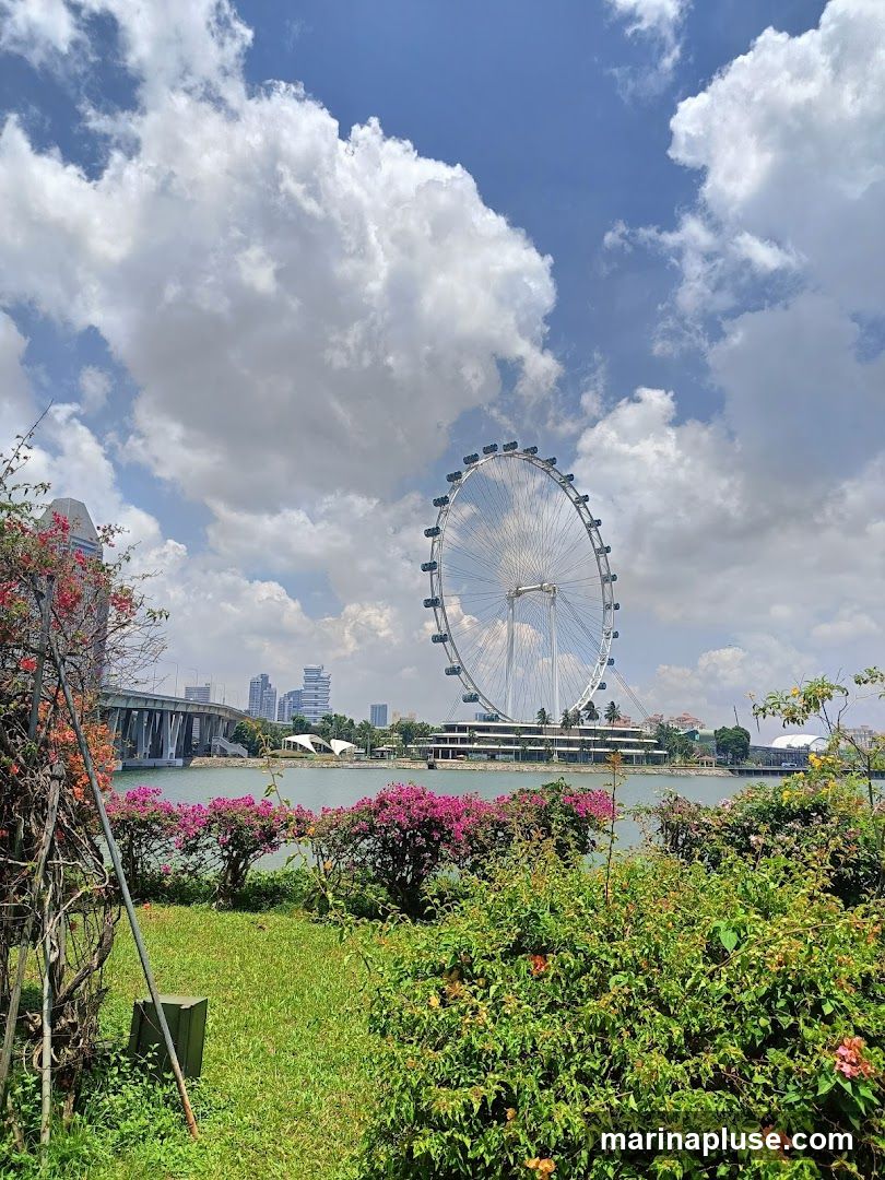 Active Garden, Waterfront Plaza