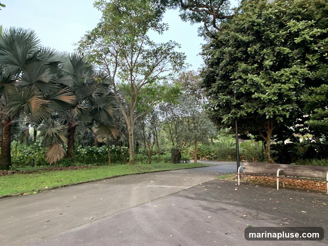 A paved pathway curves through a lush park, lined with various trees and palm fronds. A wooden bench with metal legs sits to the right of the path, offering a place to rest. The sky is overcast, suggesting a calm, possibly early morning or late afternoon scene.