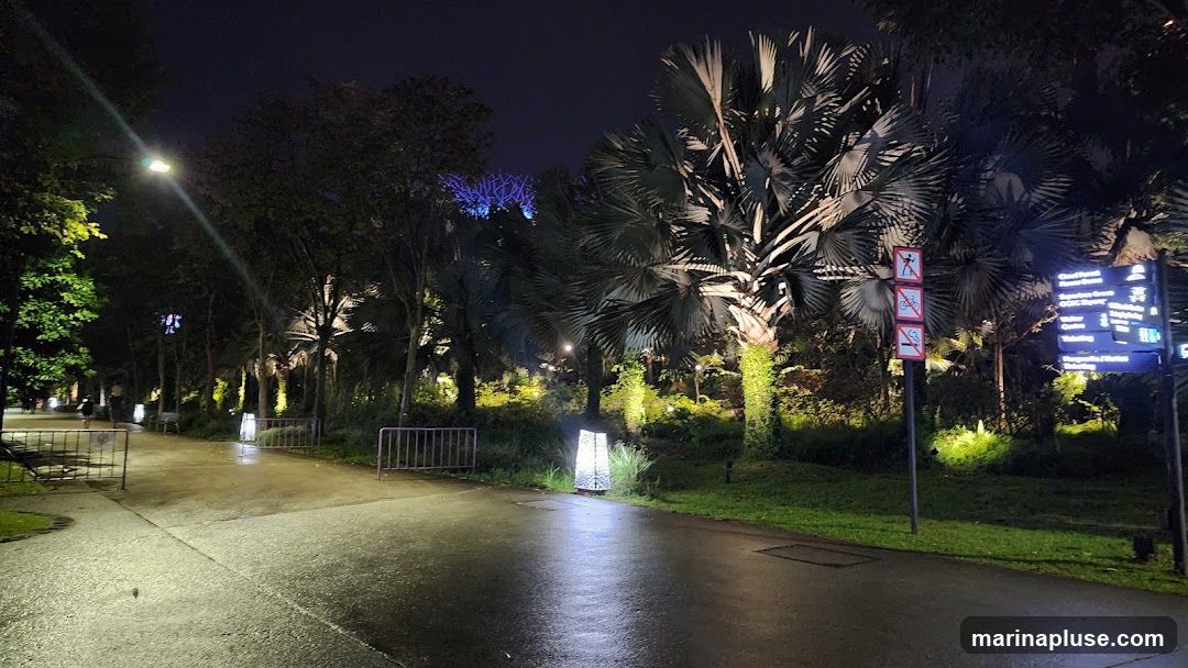 A paved pathway winds through a park at night, illuminated by streetlights and decorative lamps. Large palm trees and other lush vegetation line the path, with some trees and plants highlighted by spotlights. In the background, a large, illuminated structure with a blue glow is visible. A signpost with various directional and informational signs, including prohibition symbols, stands on the right side of the path. The ground appears wet, reflecting the lights.