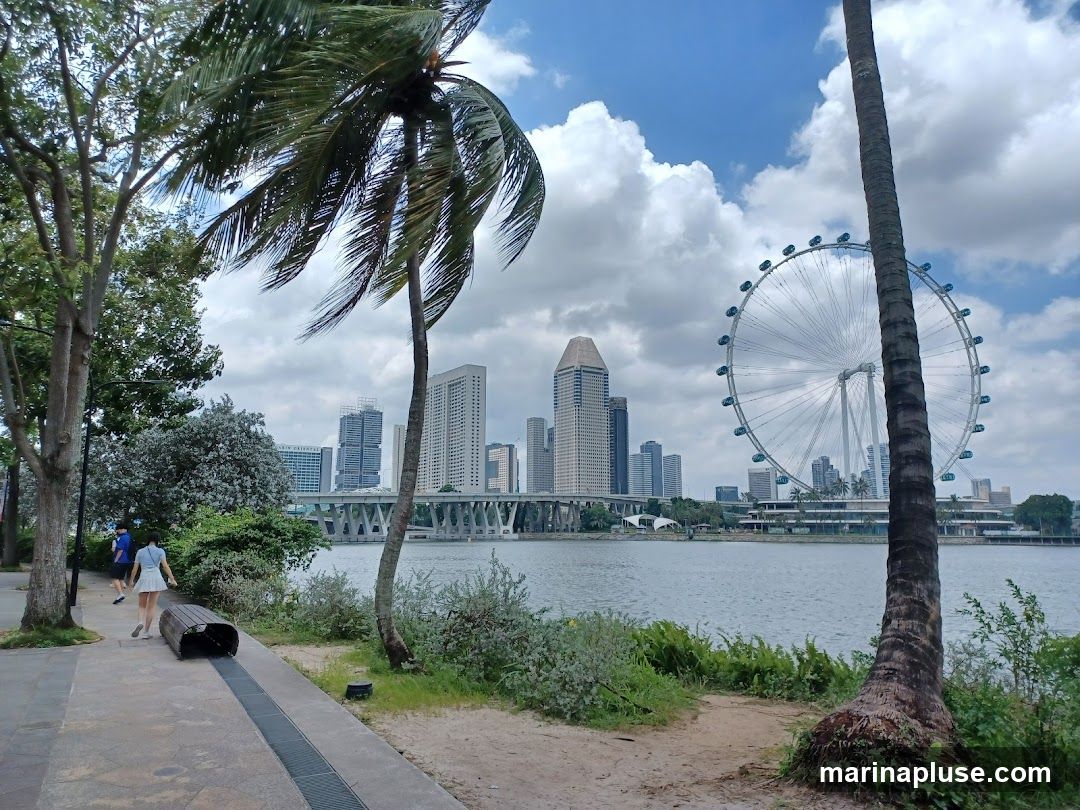 A scenic view of a waterfront with a large Ferris wheel in the background. Palm trees and lush greenery line the foreground, with a paved walkway and a bench. Two people are walking on the path. The cityscape features several tall buildings and a bridge spanning the water. The sky is partly cloudy.