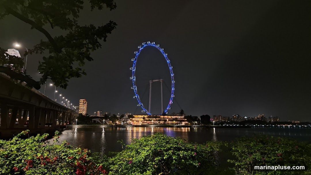 A large Ferris wheel illuminated with blue and purple lights dominates the center of the image against a dark night sky. Below the Ferris wheel is a multi-story building with illuminated windows, reflecting in the water. To the left, a bridge with streetlights stretches across the frame. In the foreground, lush green bushes and some red flowers add a touch of nature. The background shows a distant cityscape with illuminated buildings and lights reflecting on the water.