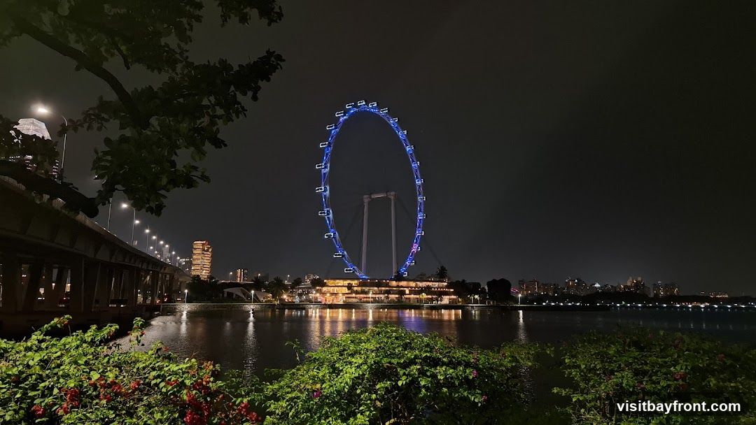 A large Ferris wheel illuminated with blue and purple lights dominates the center of the image against a dark night sky. Below the Ferris wheel is a multi-story building with illuminated windows, reflecting in the water. To the left, a bridge with streetlights stretches across the frame. In the foreground, lush green bushes and some red flowers add a touch of nature. The background shows a distant cityscape with illuminated buildings and lights reflecting on the water.