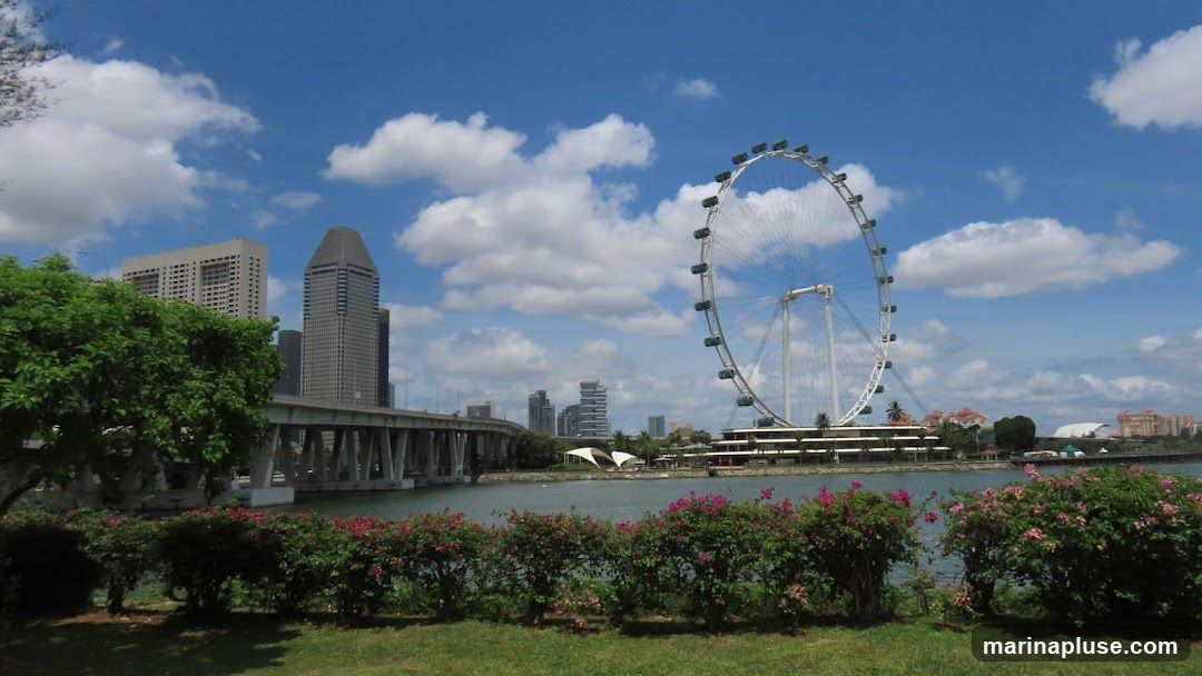 A wide shot of the Singapore Flyer observation wheel against a bright blue sky with fluffy white clouds. In the foreground, a line of lush green bushes with pink and red flowers separates a grassy area from a body of water. Across the water, a bridge and several modern skyscrapers form the city skyline. The Singapore Flyer is a prominent feature, with its large, circular structure and gondolas visible. The overall scene depicts a sunny day in a vibrant urban landscape.