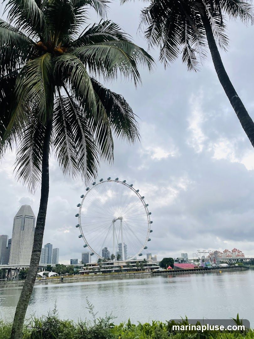 A view of the Singapore Flyer Ferris wheel and the city skyline across a body of water, framed by palm trees. The sky is overcast.