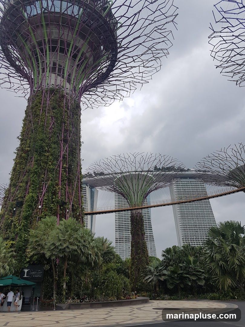 Sun pavilion