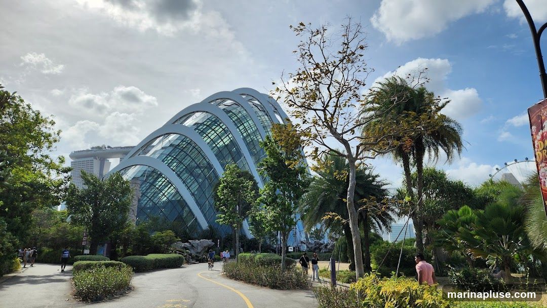 A wide shot of the iconic Supertree Grove and Cloud Forest domes at Gardens by the Bay, Singapore. The futuristic glass structures are surrounded by lush greenery and palm trees. In the background, the Marina Bay Sands hotel and a Ferris wheel are visible under a partly cloudy sky. Several people are seen walking and cycling along a paved path. A colorful poster is partially visible on the right side of the frame.