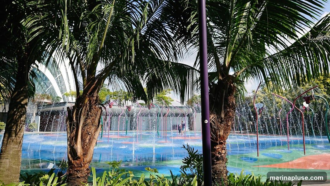 A vibrant water play area with numerous spray jets is depicted, surrounded by lush palm trees. In the background, a modern building with a curved glass facade is visible. The ground of the play area features colorful sections of blue, green, and orange. Two people are seen in the distance within the water jets.
