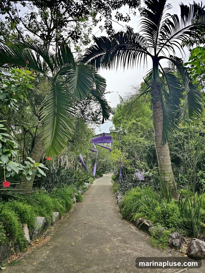 A concrete pathway winds through a lush garden, flanked by dense greenery and palm trees. In the distance, a striking purple archway structure is visible, adding a touch of modern art to the natural landscape. The path is well-maintained, suggesting it leads to a specific attraction or area within the garden.