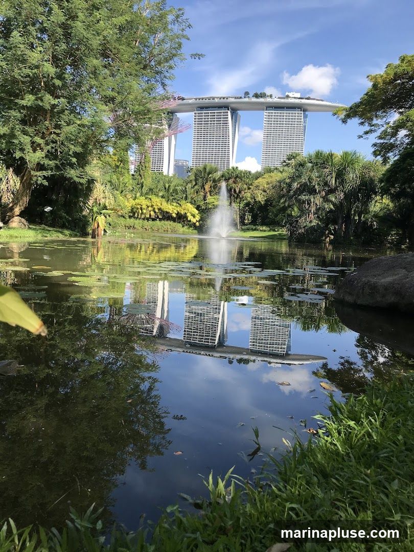 A serene pond with lily pads reflects the iconic Marina Bay Sands hotel and the Supertree Grove in Singapore. Lush greenery and trees surround the pond, with a fountain spraying water in the middle. The sky is blue with scattered clouds.