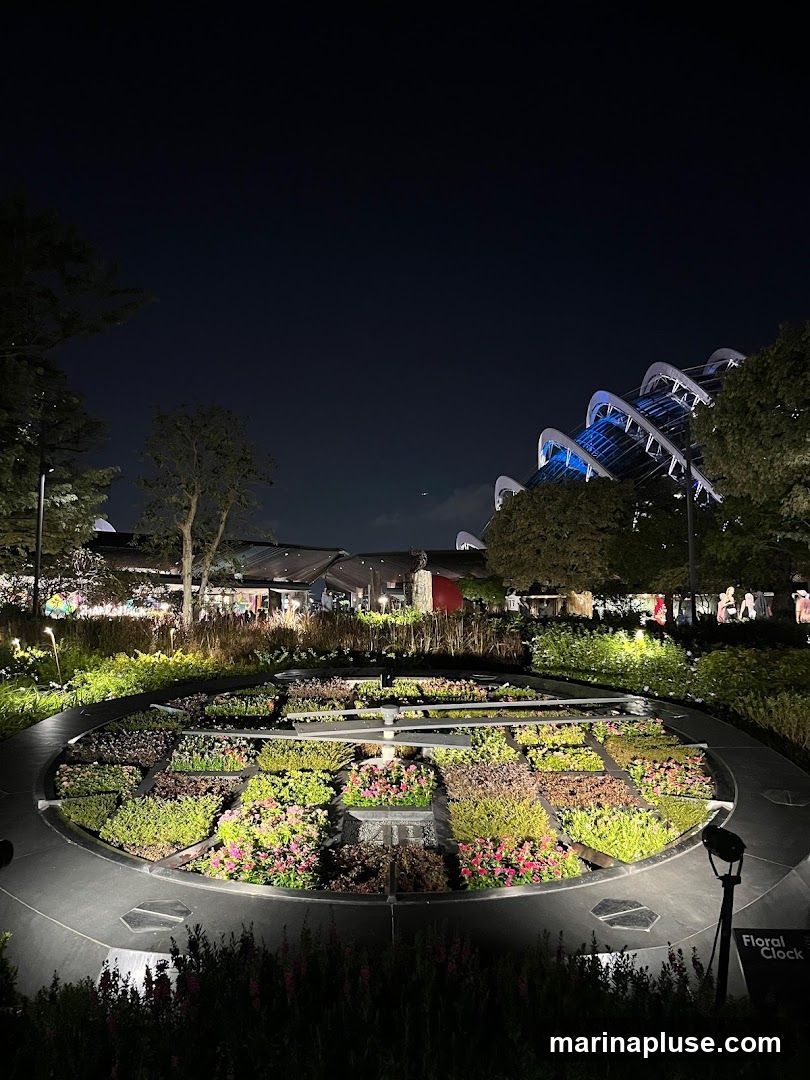 A large floral clock is illuminated at night, with various plants arranged in sections. In the background, trees and buildings are visible, with a large, modern structure featuring blue lighting.