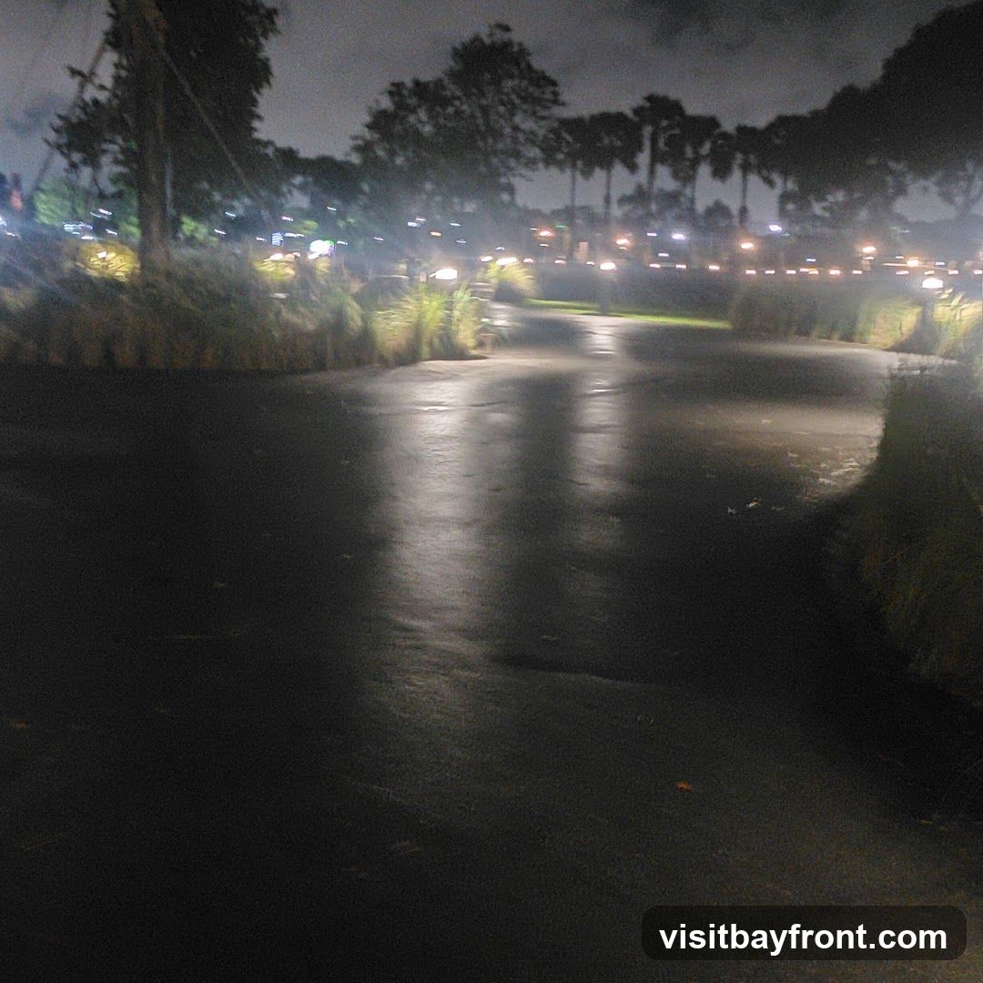 A wet, dark path winds through a park at night. Lights are visible in the background, illuminating trees and foliage. The overall atmosphere is moody and serene.
