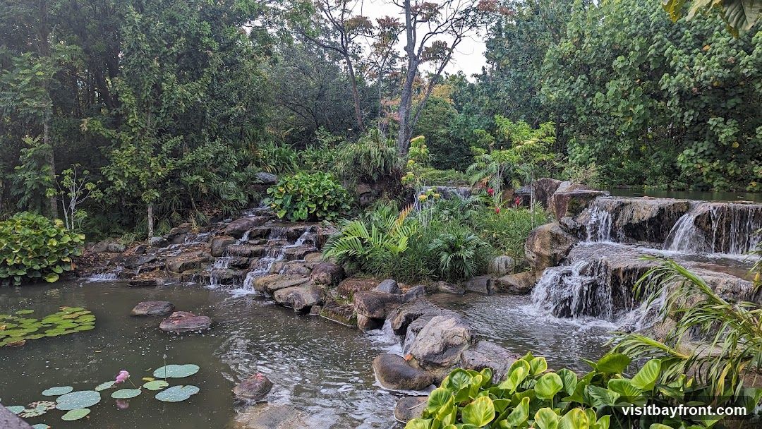 A serene natural landscape featuring a multi-tiered waterfall cascading over rocks into a calm pool. The water is surrounded by abundant greenery, including various types of plants, ferns, and trees. Lily pads float on the surface of the water, with a few pink lotus flowers in bloom. The scene evokes a sense of tranquility and natural beauty.