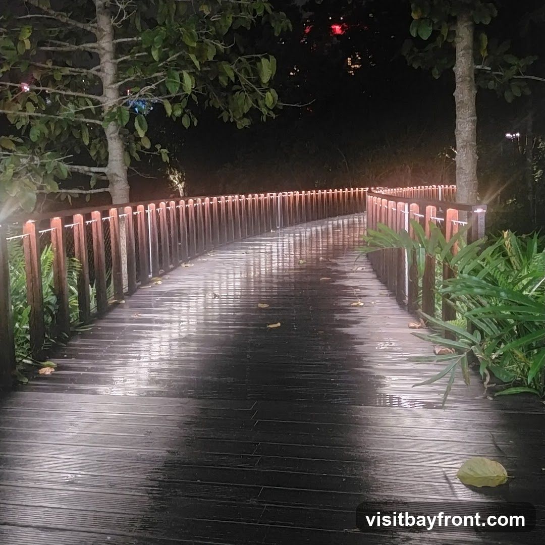 A wooden walkway curves through a dark, wooded area at night. The walkway is illuminated by lights along the railing and reflects the light, appearing wet. There are trees and foliage on either side of the walkway.