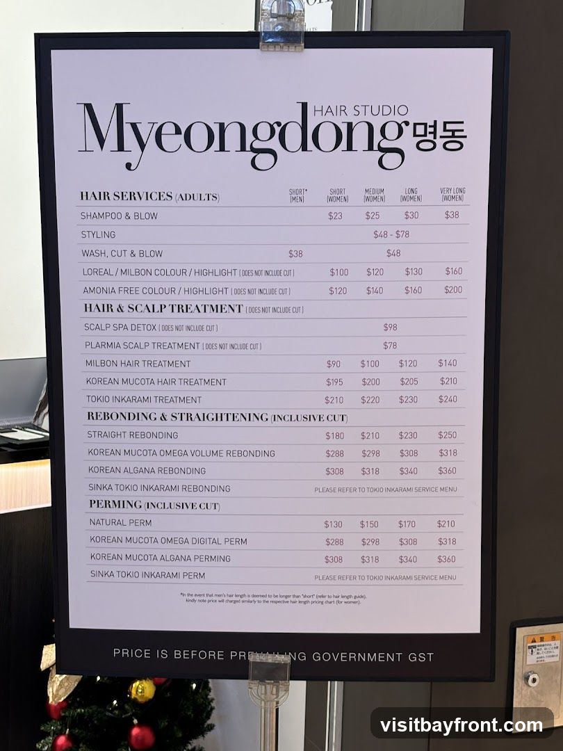 Myeongdong Hair Studio MBLM