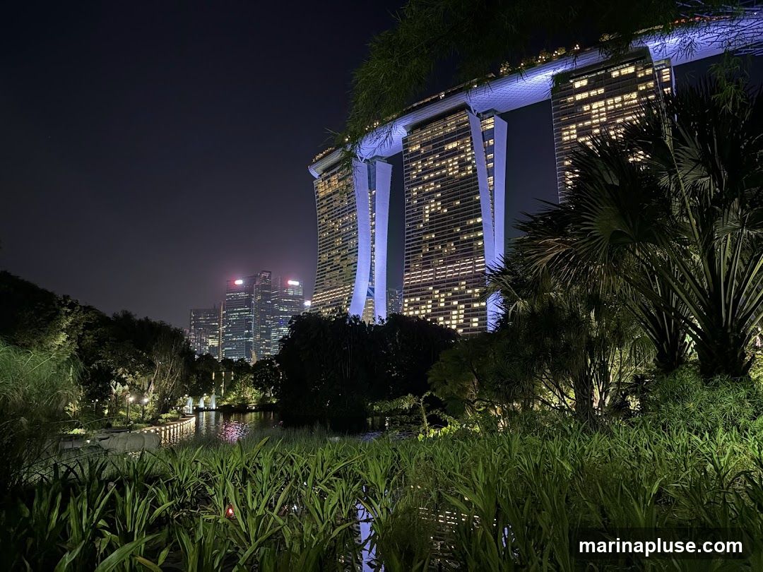 A nighttime view of Gardens by the Bay in Singapore, featuring the iconic Marina Bay Sands hotel in the background. The foreground is filled with lush greenery and a tranquil body of water, reflecting the lights of the city. The Marina Bay Sands hotel is illuminated with blue and white lights, highlighting its unique architecture. The cityscape behind it is also lit up, creating a vibrant urban panorama.