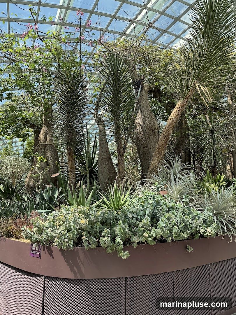 Conservatory (Flower Dome/Cloud Forest) Gift Shop