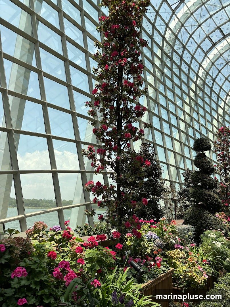 A lush indoor garden filled with a variety of flowering plants, including pink azaleas and geraniums. The garden is housed within a large greenhouse structure with a distinctive geodesic dome roof made of glass panels. Outside the greenhouse, a body of water and distant landscape are visible through the glass.