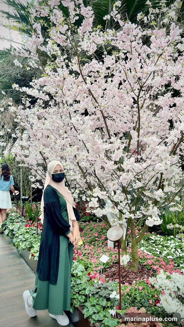 A woman wearing a hijab, mask, and a green dress with a black cardigan stands in front of a blooming cherry blossom tree. She is surrounded by a variety of colorful flowers and lush greenery. Another woman is visible in the background.