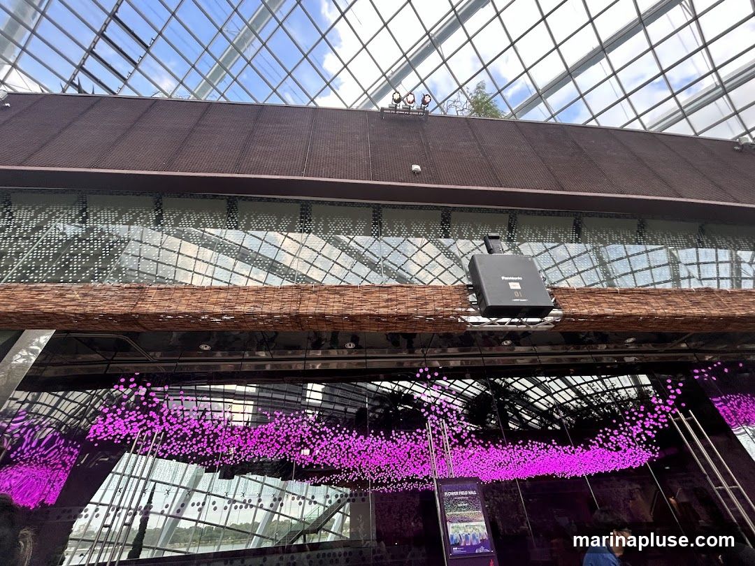 An interior view of a large botanical garden with a glass ceiling, showing architectural elements and decorative lighting. A black speaker box with the Panasonic logo is mounted on a wooden beam. Below, a reflective surface displays a vibrant pink light installation resembling a flowing cloud or wave. In the lower right, a person is visible. A poster with the text "FLOWER FIELD HALL" is partially visible on the wall.
