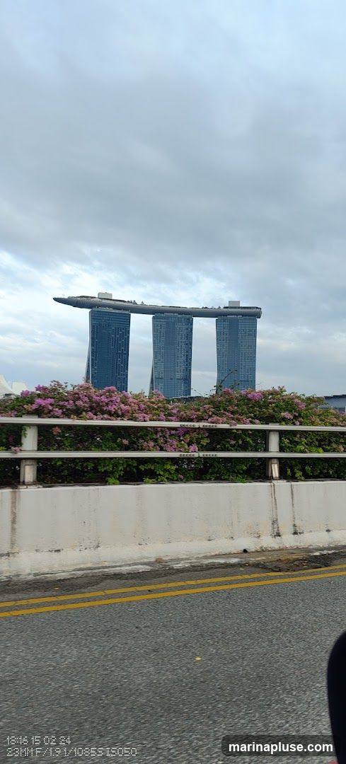 A view of the Marina Bay Sands Hotel in Singapore, with its distinctive three towers topped by a sky park. In the foreground, there is a barrier with lush green foliage and pink flowers. The sky is overcast with clouds. The image appears to be taken from a moving vehicle on a road.